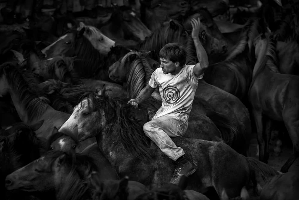 Man Riding Wild Horses by Alfonso maseda varela — canvas wall art