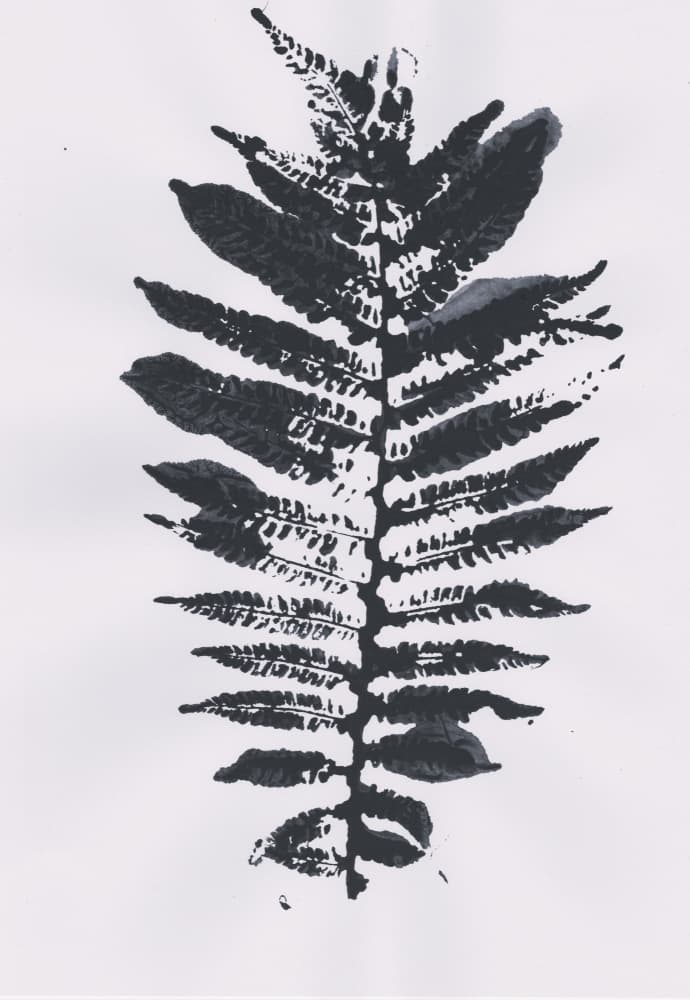 Elegant Fern Leaf by Maira Ribena — canvas wall art
