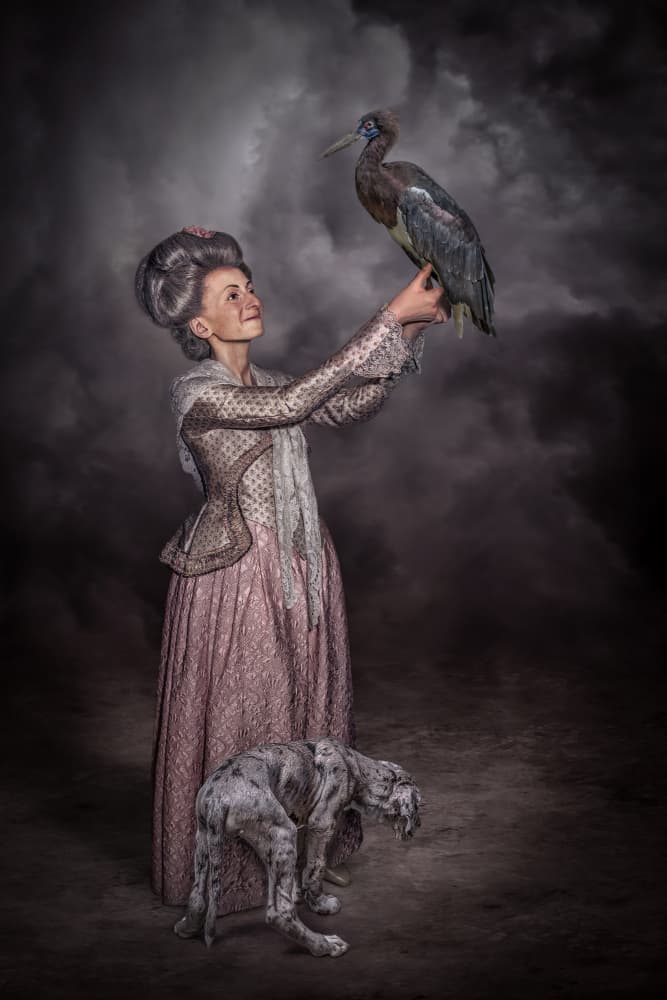 Noblewoman And Her Companions by Marcel Egger — canvas wall art