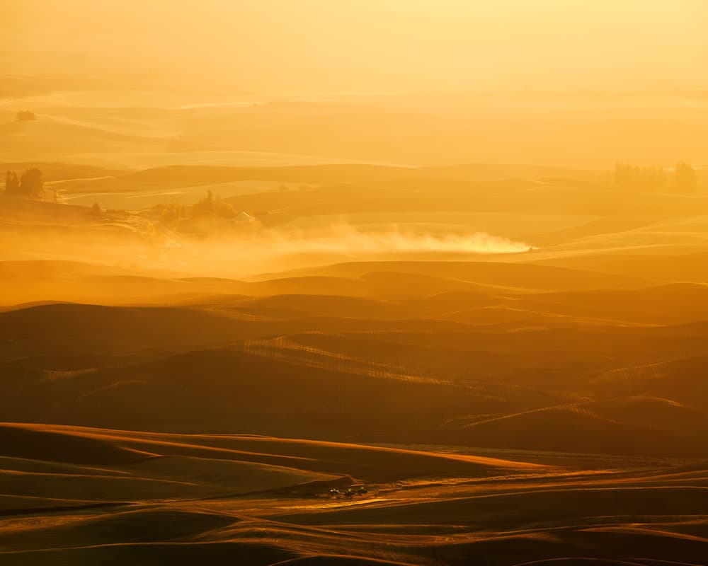 Golden Morning Fog by John Fan — canvas wall art