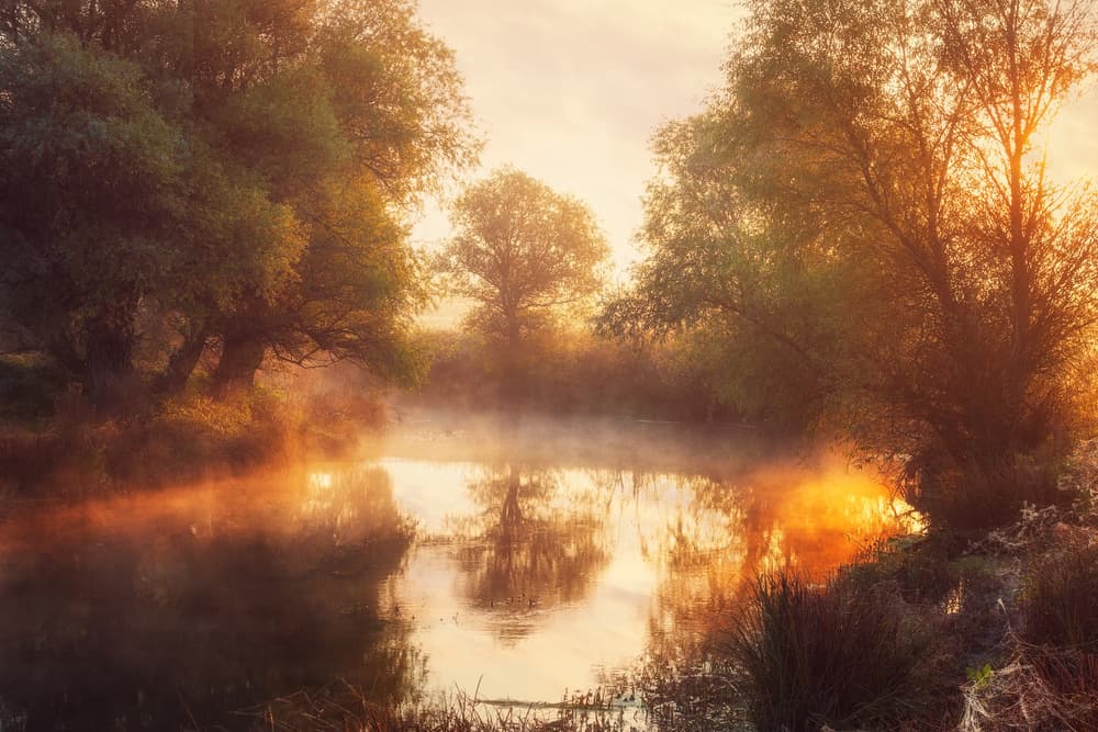 Sunrise Over Misty River by Leicher Oliver — canvas wall art