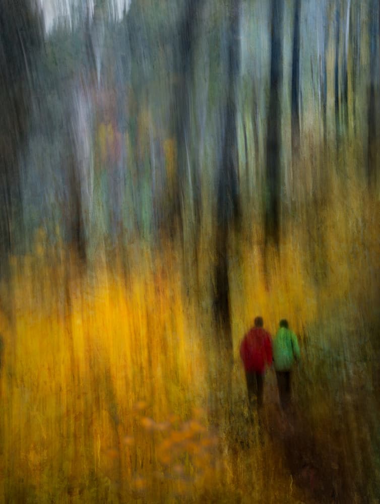 Blurred Autumn Path by Shenshen Dou — canvas wall art
