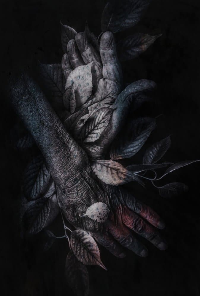 Intertwined Hands Nature by Ingrida Urbonavičienė — canvas wall art