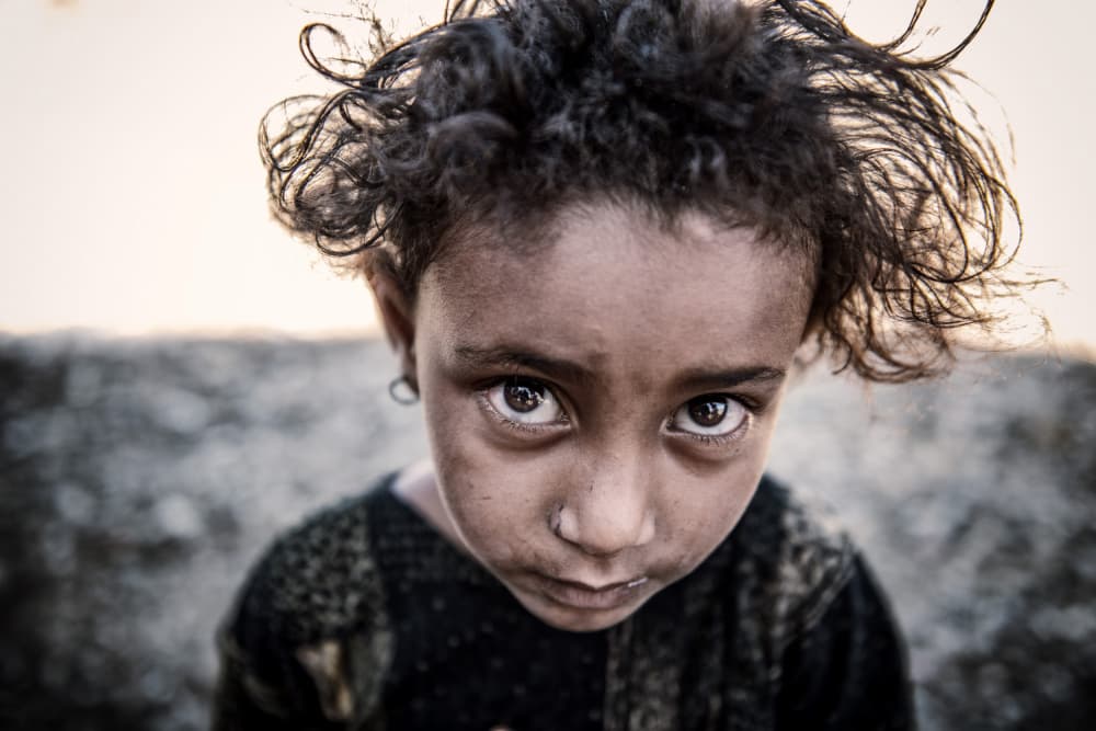 Serious Young Gaze by Trevor Cole — canvas wall art