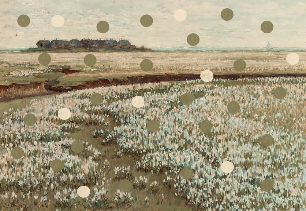 Path Through White Flowers by The Art Concept — canvas wall art