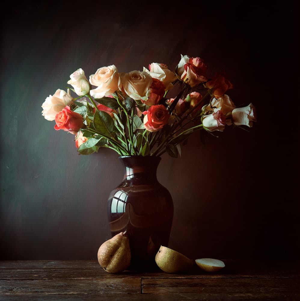 Moody Roses and Pears by Luiz Laercio — canvas wall art
