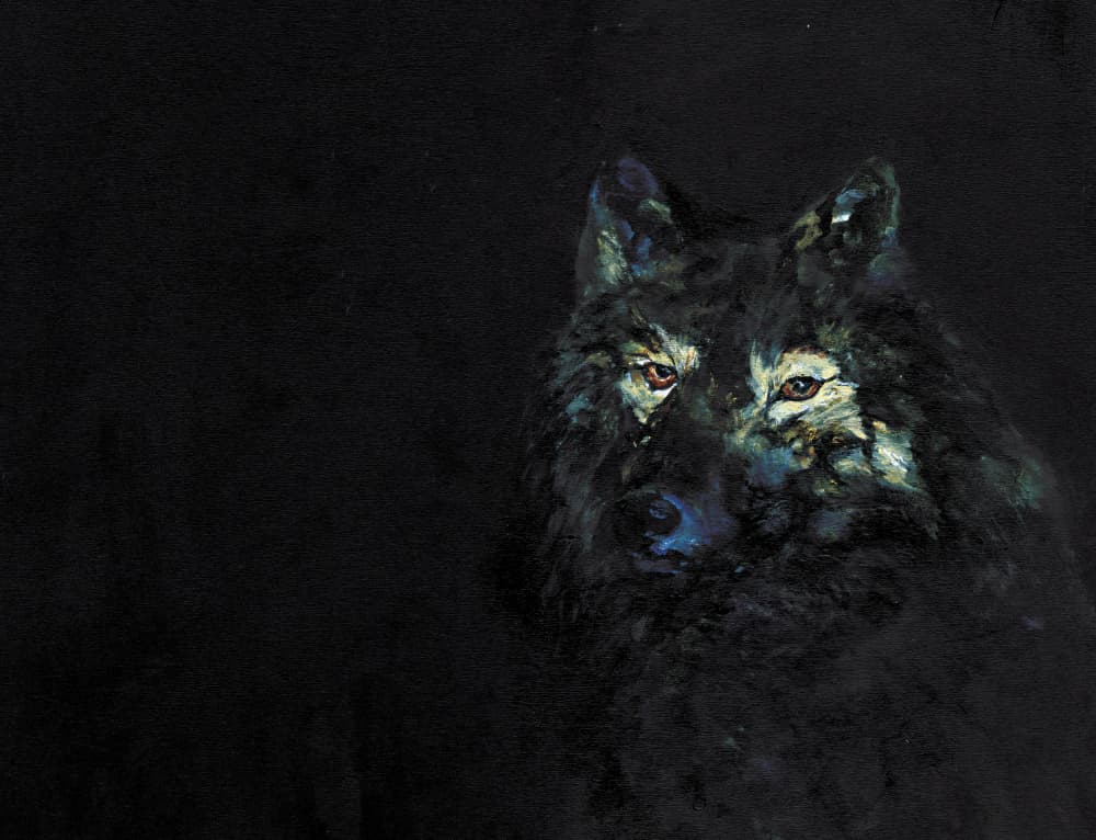 Mysterious Black Wolf by RodMacIver — canvas wall art