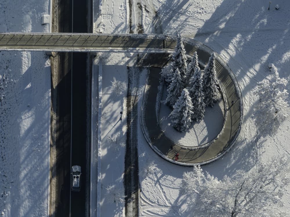 Snowy Park Aerial View by Jure Kravanja — canvas wall art