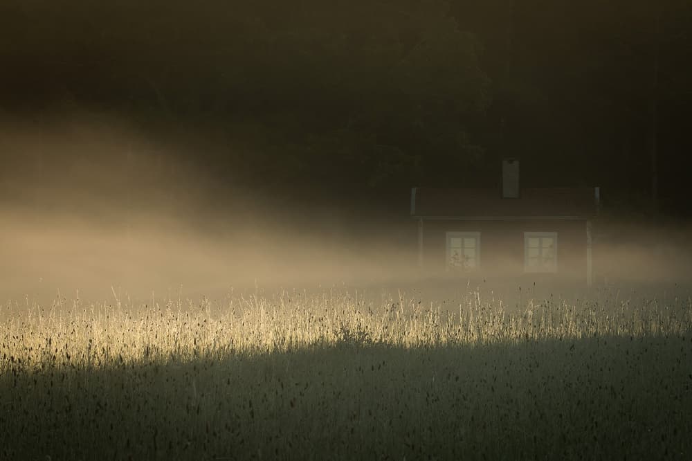 Golden Light Misty Cabin by Allan Wallberg — canvas wall art