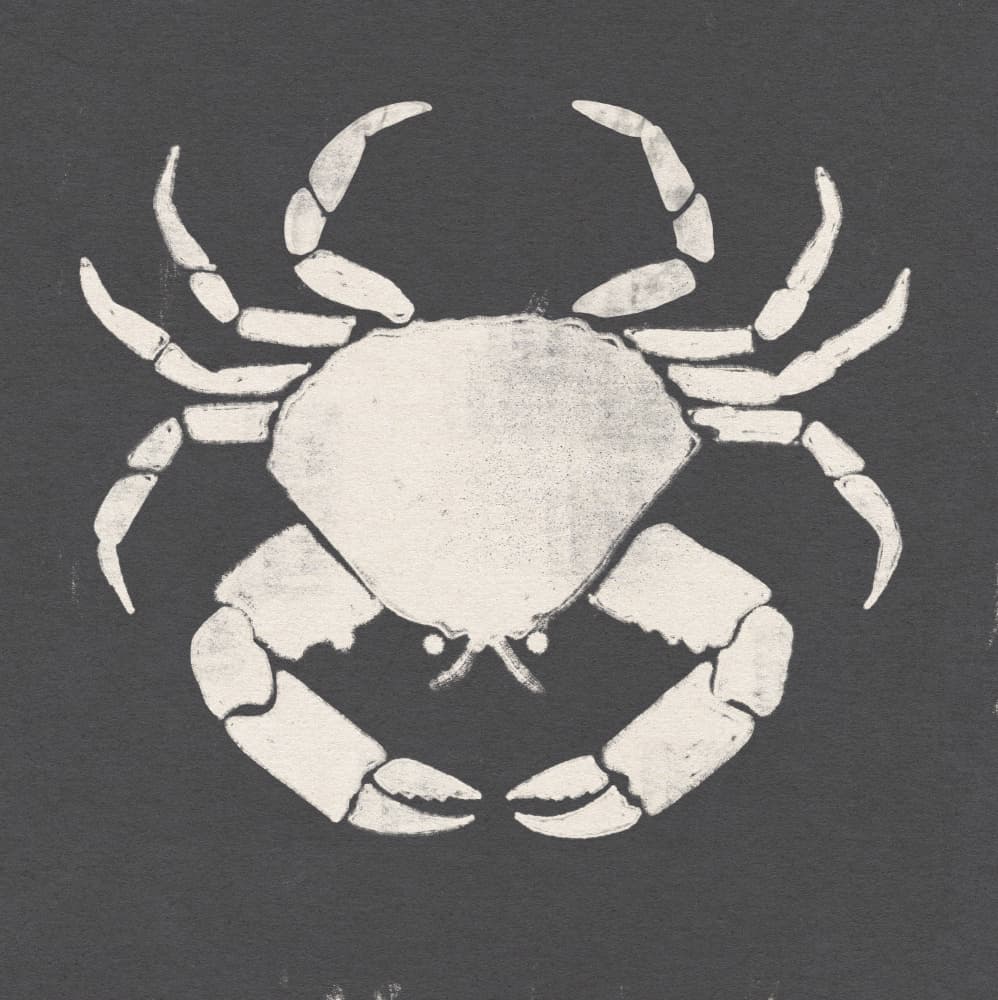 Rustic Coastal Crab by Nicholas — canvas wall art