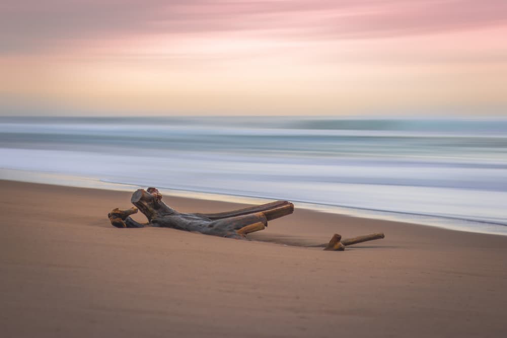 Soft Ocean Driftwood Shore by Hein Jonker — canvas wall art