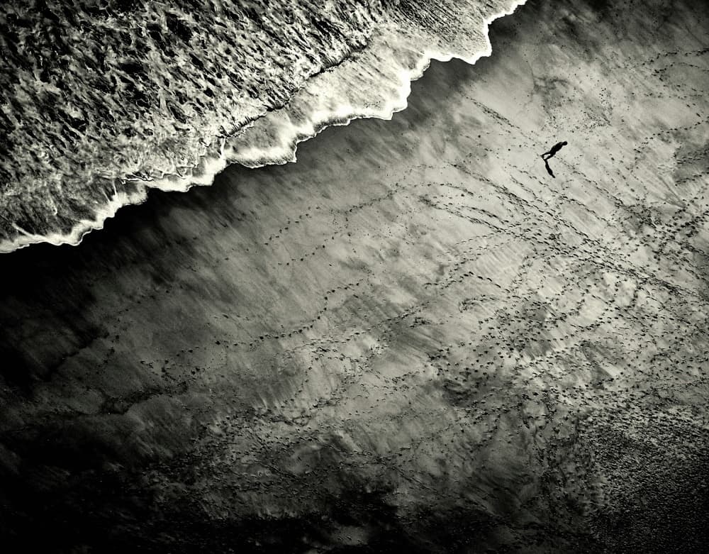 Aerial Beach Bird by Mirela Momanu — canvas wall art