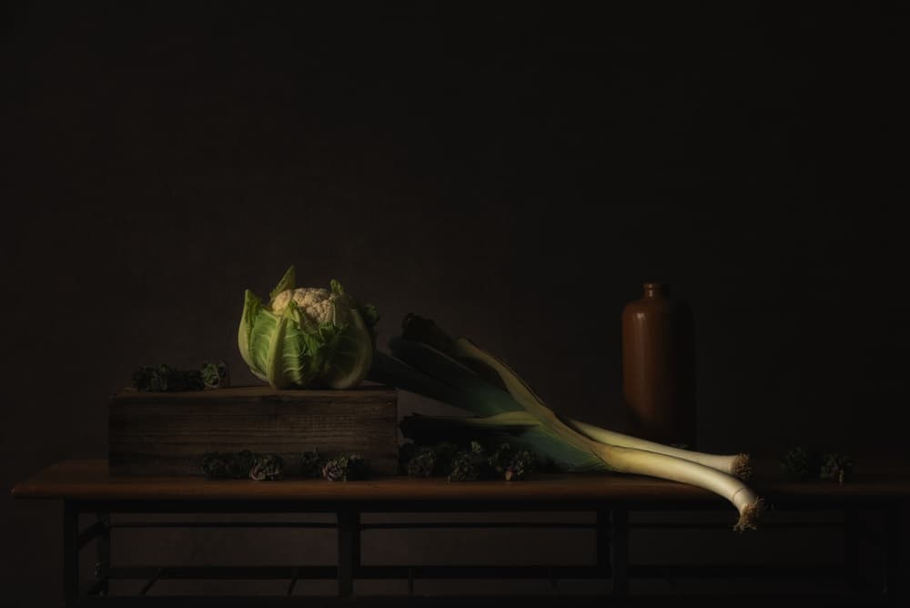 Dark Harvest Still Life by Monique van Velzen — canvas wall art