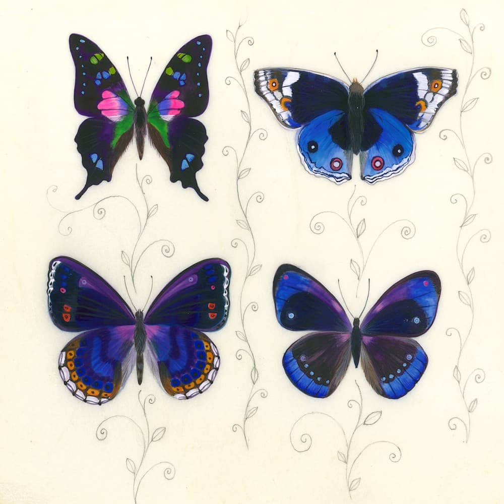 Dark Butterflies by Isabelle Brent — canvas wall art