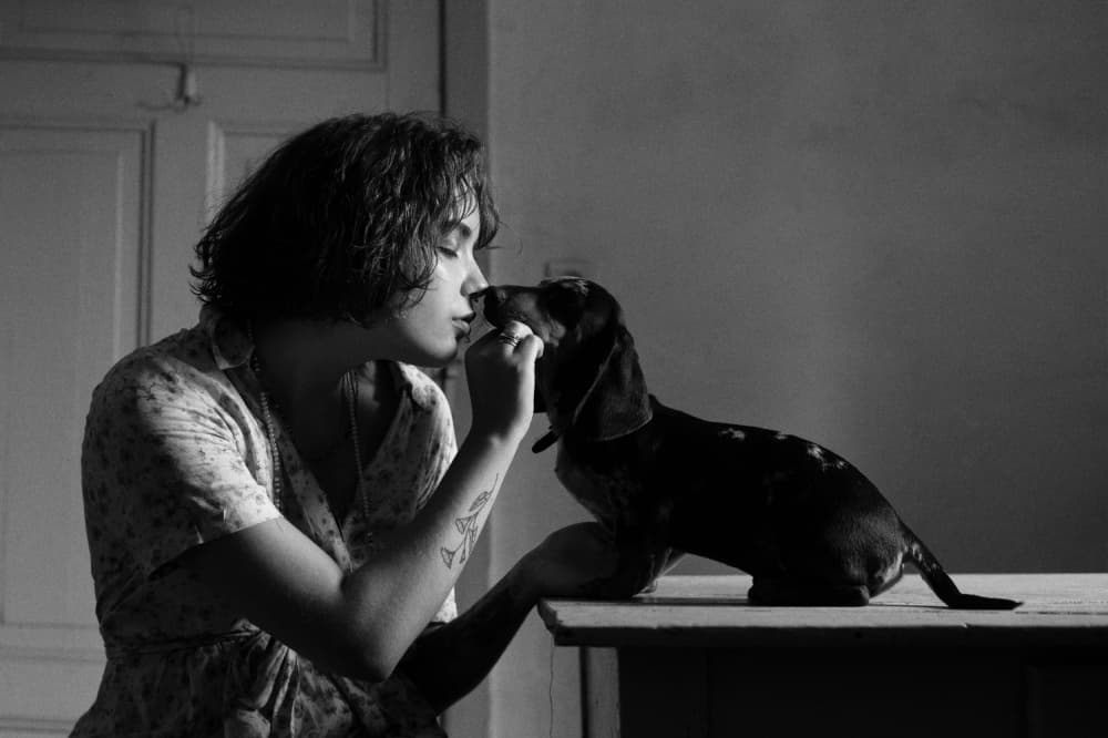 Tender Dog Kiss by Małgorzata Masarz — canvas wall art