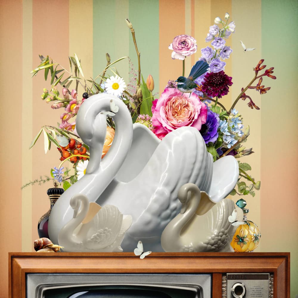 Whimsical Swan Still Life by Sue Skellern — canvas wall art