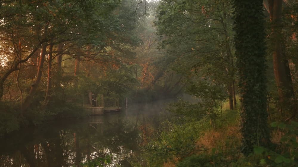 Misty Golden River by Vincent Croce — canvas wall art