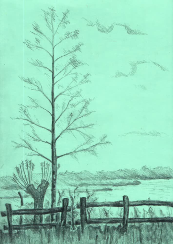 Bare Tree Landscape by Kulik — canvas wall art