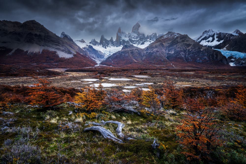 Fitz Roy Autumn Majesty by Ling Jiang — canvas wall art