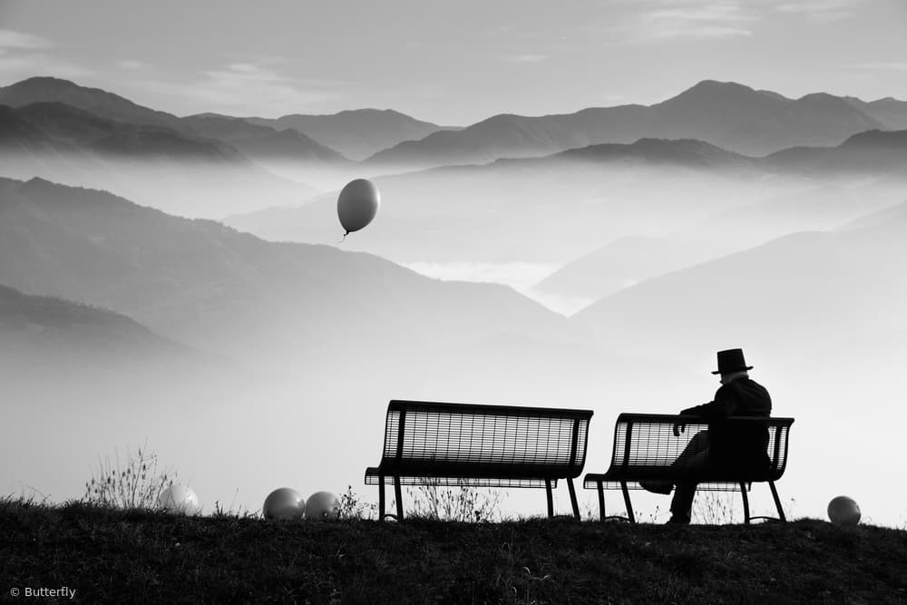 Gentleman in the Mist by Madison — canvas wall art