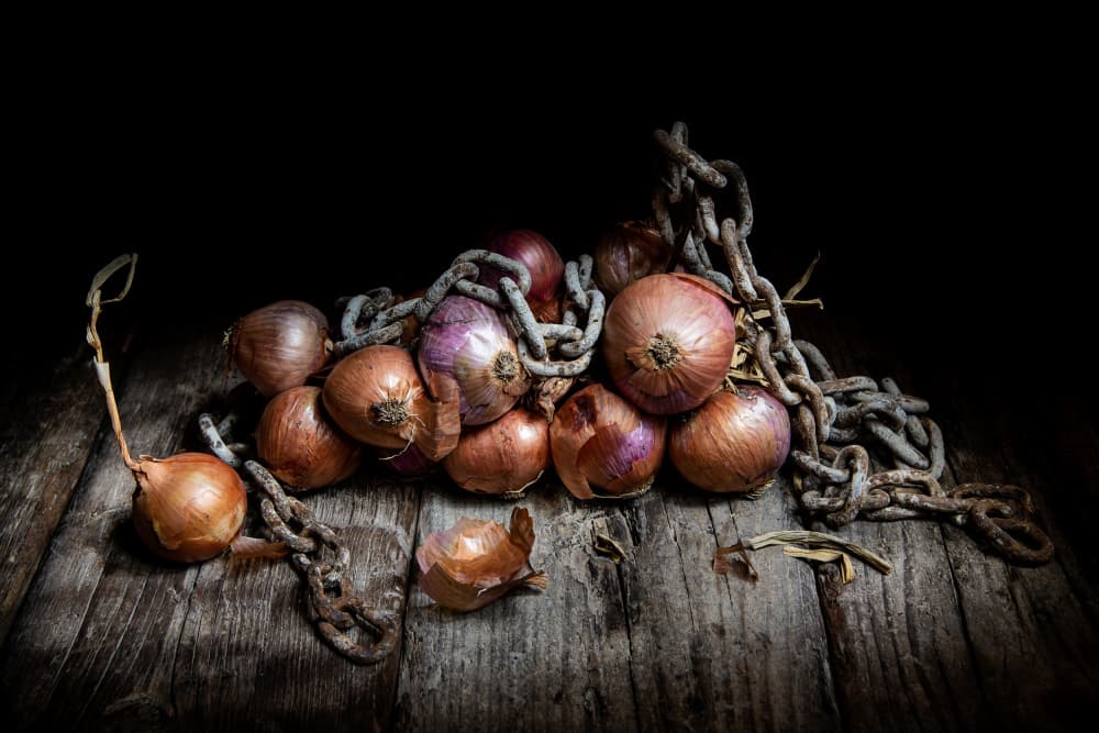Rustic Onions and Chain by Felice Angelino — canvas wall art