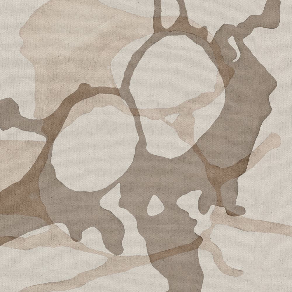 Abstract Fluid Shapes by Renée Stramel — canvas wall art