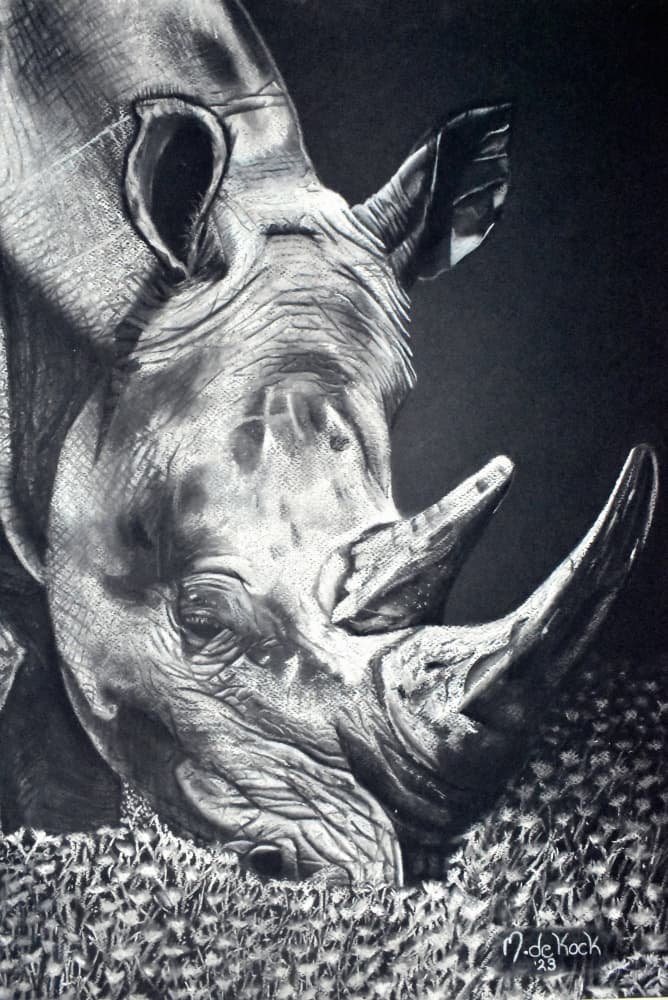 Powerful Rhino Grazing by Marchelle de Kock — canvas wall art