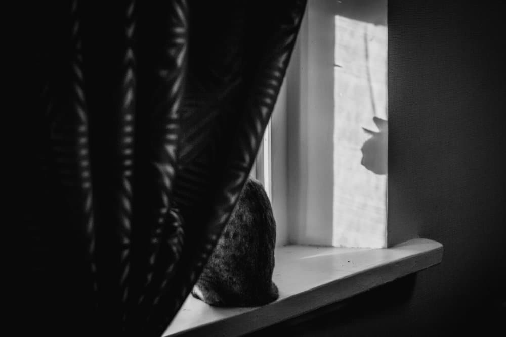Window Light and Shadow by Olessya Mikhailova — canvas wall art