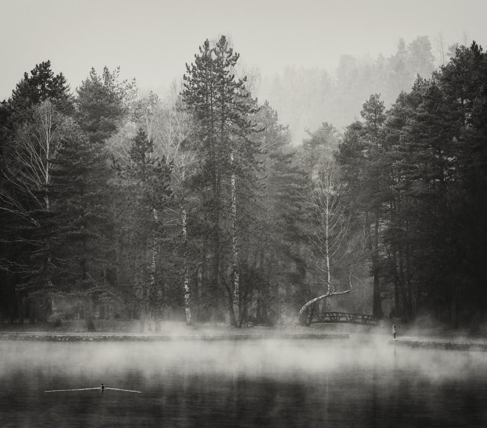Misty Lake Forest Solitude by Samir Pajic — canvas wall art