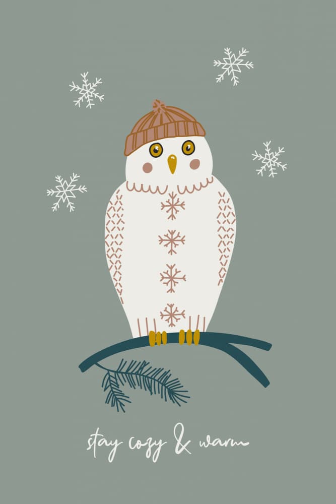 Cozy Owls Frosted Sage by Alexandra Weise — canvas wall art