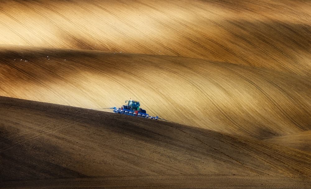 Tractor Plowing Golden Hills by Piotr Krol (Bax) — canvas wall art
