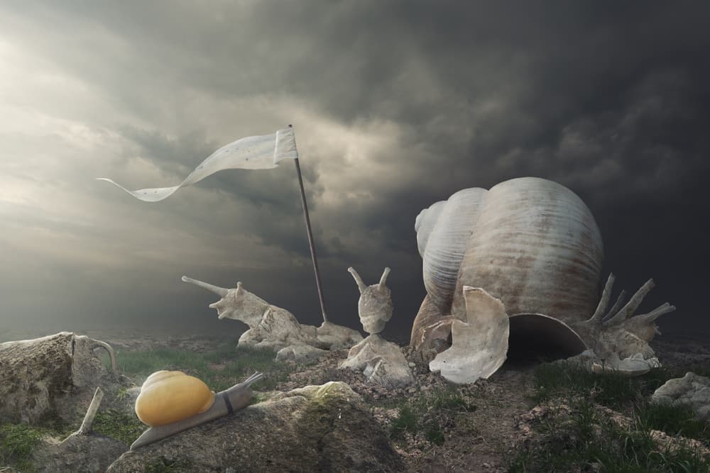 Stormy Snail Landscape by Peter Cakovsky — canvas wall art