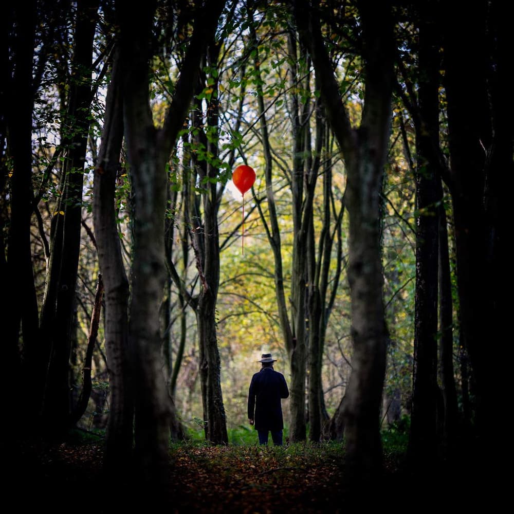 Mysterious Forest Balloon by ambra — canvas wall art