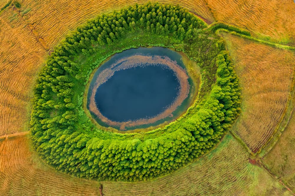 Earth's Green Eye by Alvaro Roxo — canvas wall art