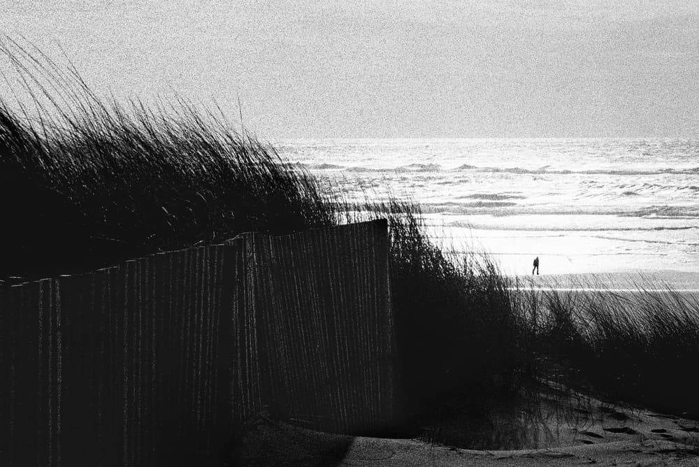Solitary Beach Walk by Paulo Abrantes — canvas wall art