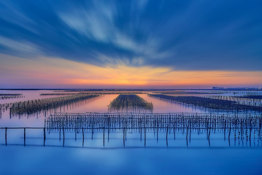 Oyster Farm Sunset by MingLun Tsai (蔡明倫) — canvas wall art