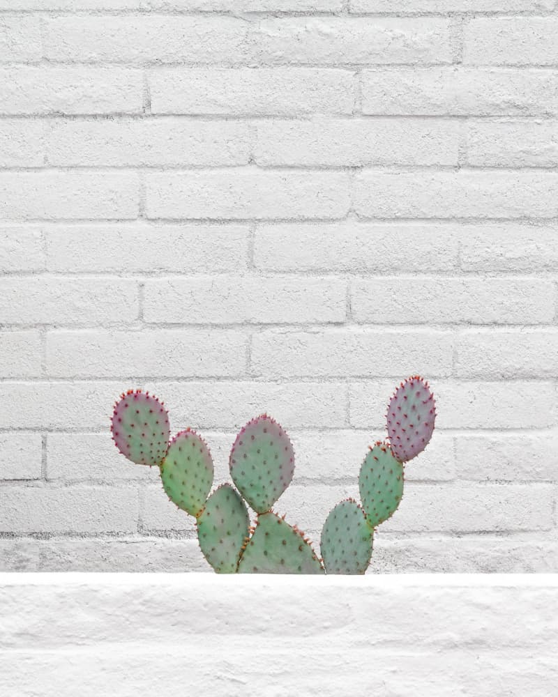 Stay Sharp by Tom Windeknecht — canvas wall art