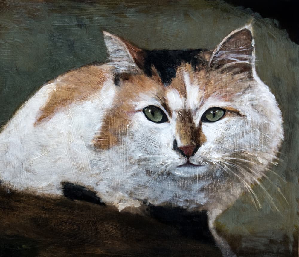 Watchful Calico Cat by Claire Lerner — canvas wall art