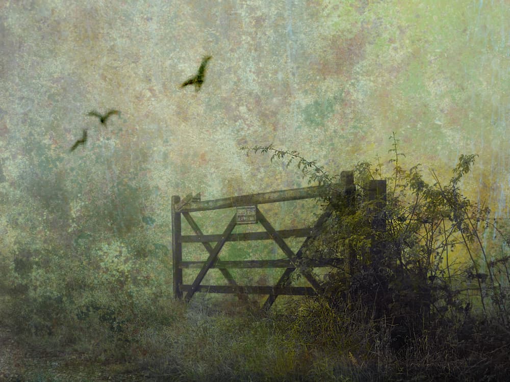 Misty Gate Birds by Ria Groot Zevert — canvas wall art