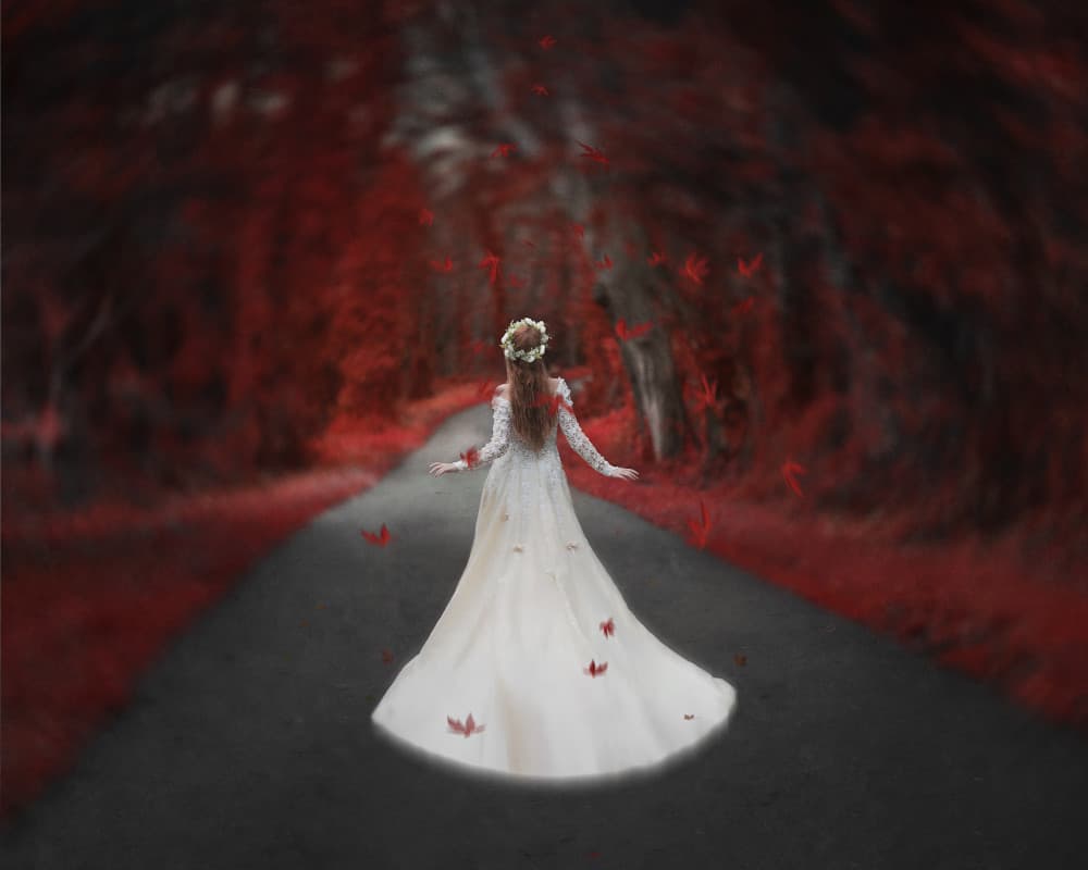 White Dress Forest Path by Kiki Yuan — canvas wall art