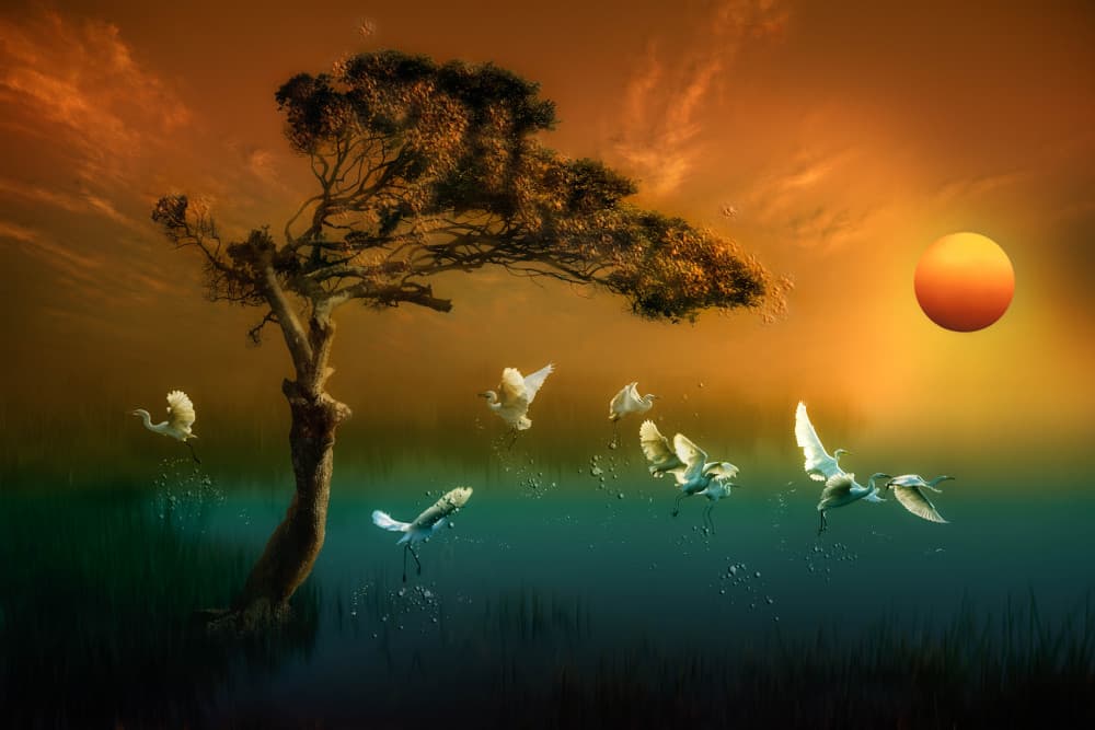 Marsh Birds Sunset by Charlaine Gerber — canvas wall art