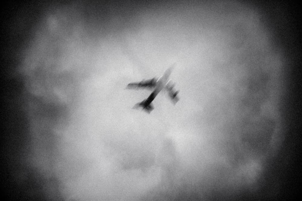 Blurred Flight by Tal Paz-Fridman — canvas wall art