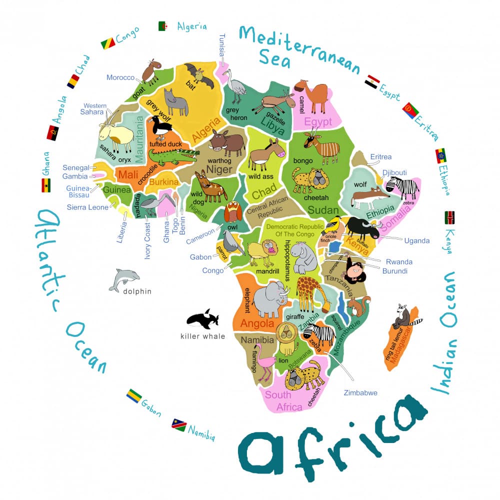 Colorful Africa Animal Map by Carla Daly — canvas wall art