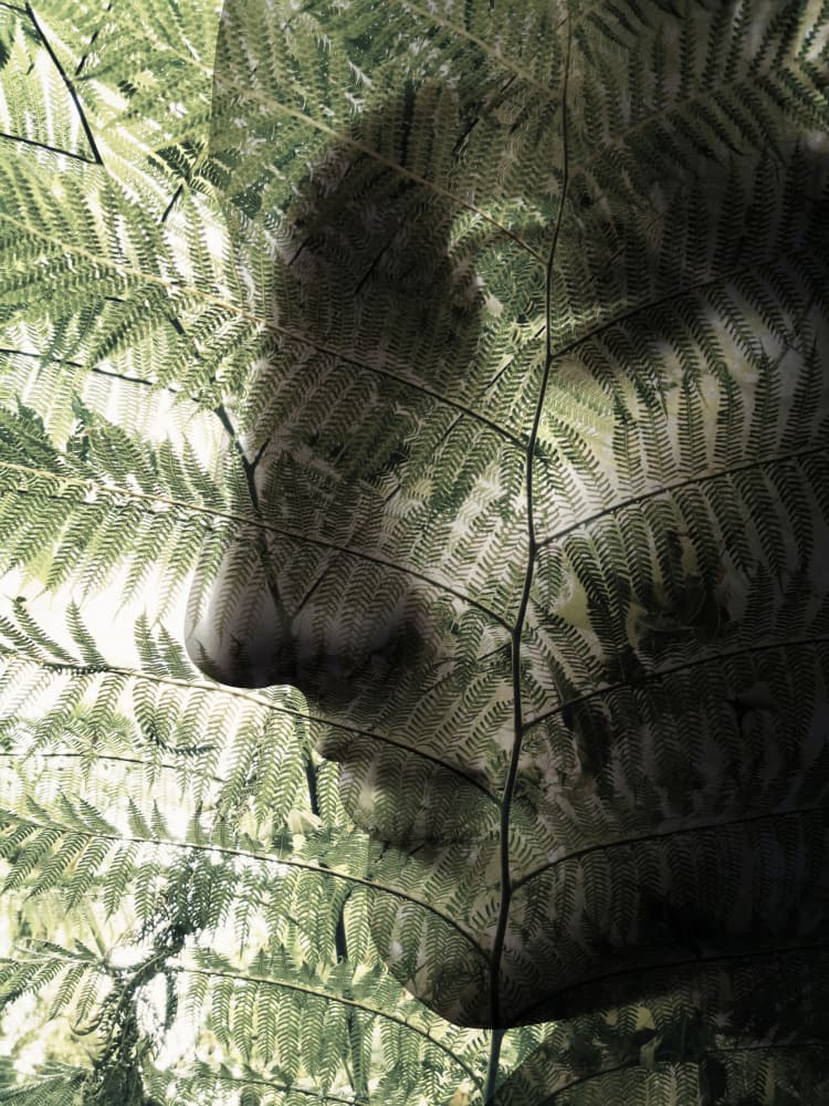 Botanical Face Profile by Angelo Cerantola — canvas wall art