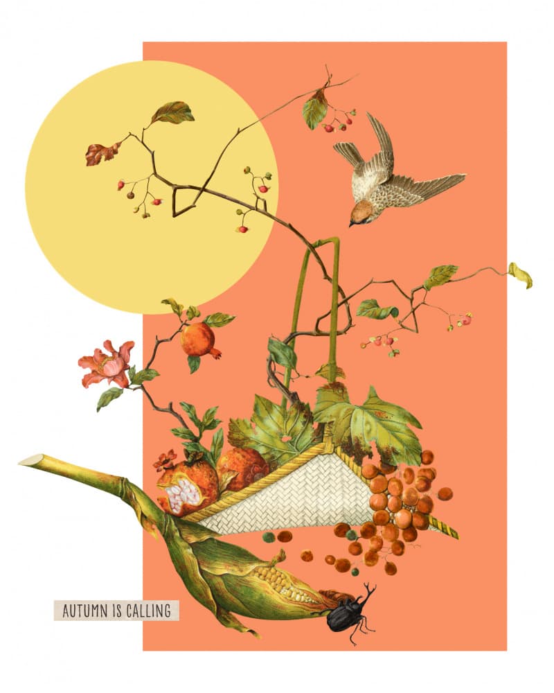Autumn Bird and Harvest by Marja van den Hurk — canvas wall art