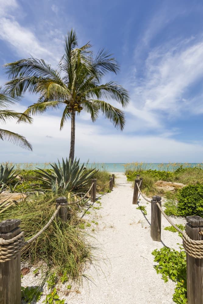 Path To Paradise Beach by Melanie Viola — canvas wall art