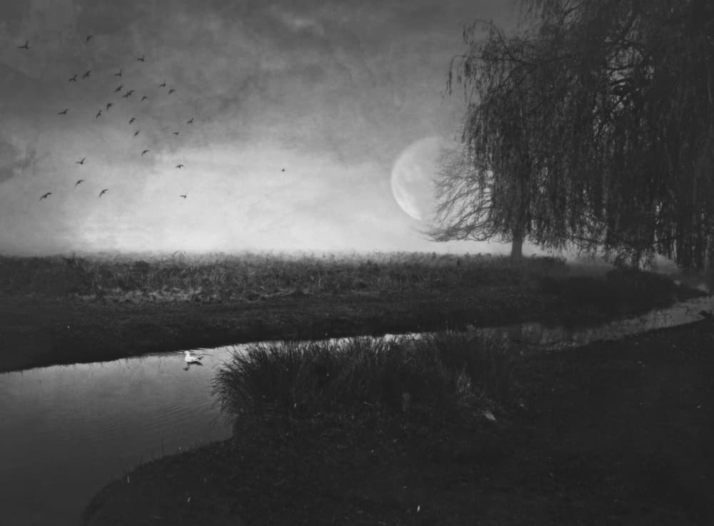Dark Moonlit Stream by Robert Fabrowski — canvas wall art