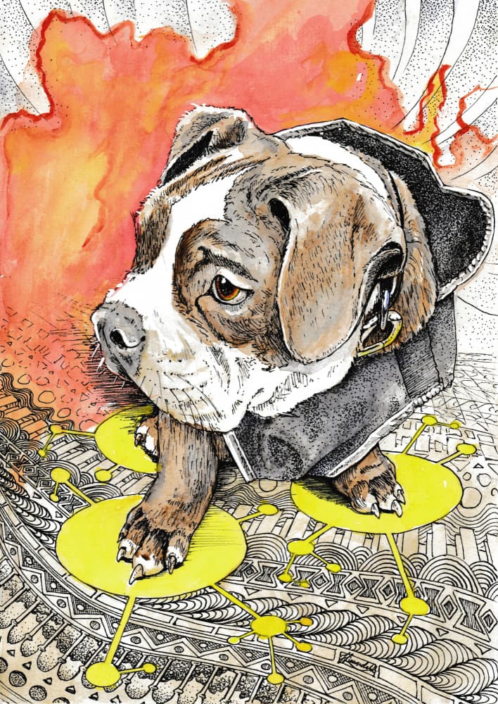 Puppy's Fiery Journey by Johan Liewendahl — canvas wall art