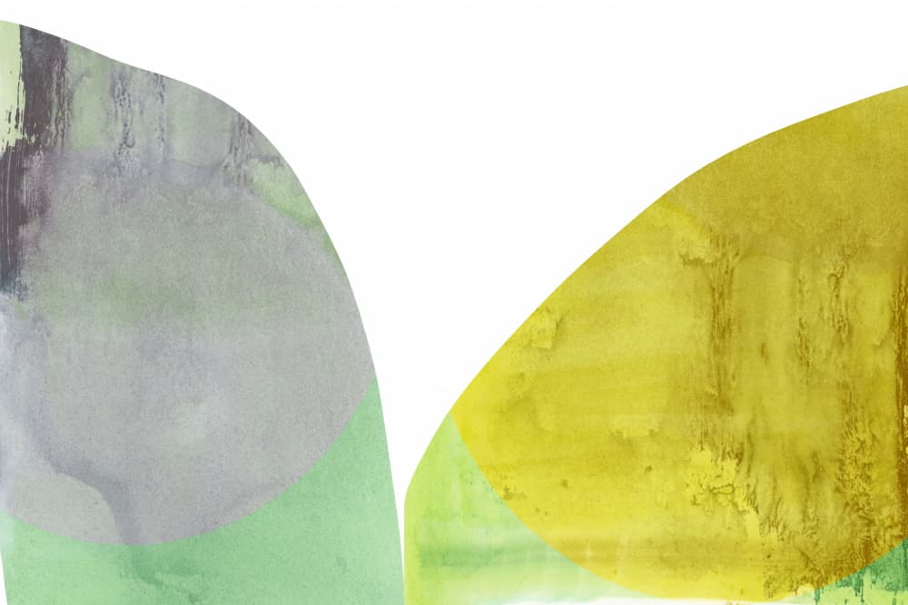 Fluid Organic Shapes by cartissi — canvas wall art