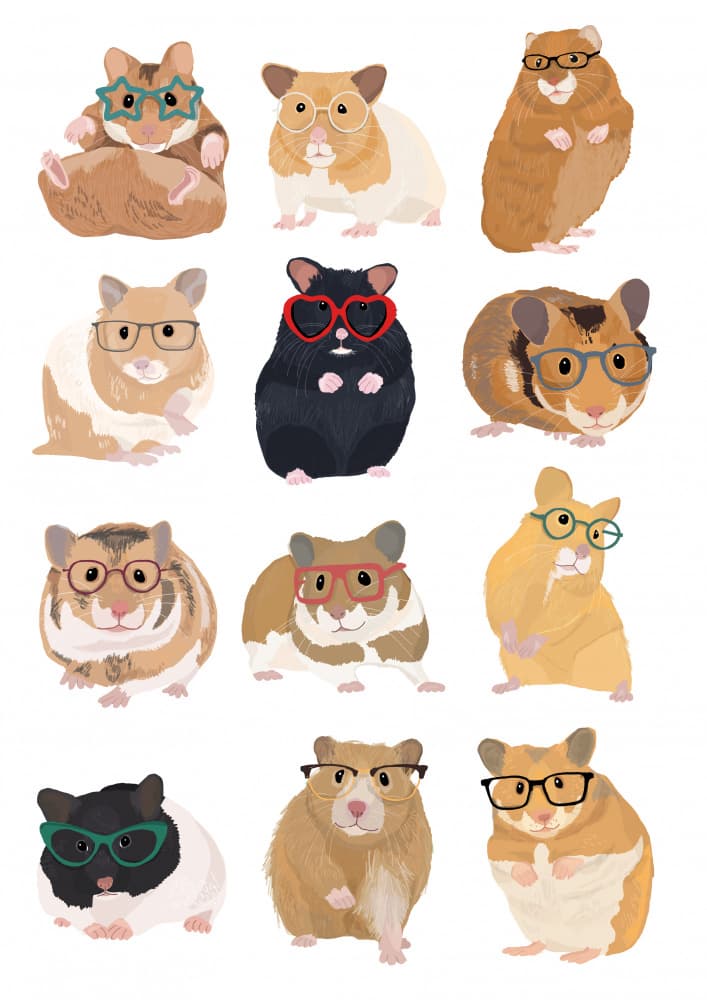 Cute Hamsters With Glasses by Hanna Melin — canvas wall art